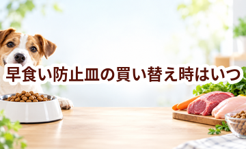 早食い防止皿の買い替え時はいつ？安全に使うためのチェックポイント