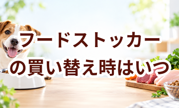 フードストッカーの買い替え時はいつ？安全に使うためのチェックポイント