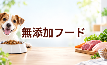 無添加ドッグフードとは？表示を見るときに知っておきたいポイント