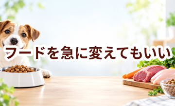 ドッグフードを急に変えてもいい？切り替えるときの基本