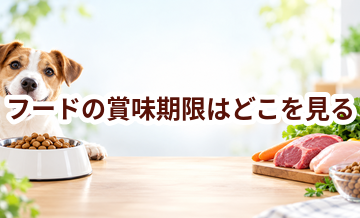 ドッグフードの賞味期限はどこを見る？開封前・開封後の考え方