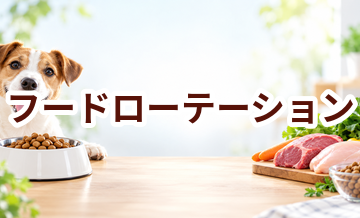 フードローテーションとは？取り入れる前に知っておきたいこと