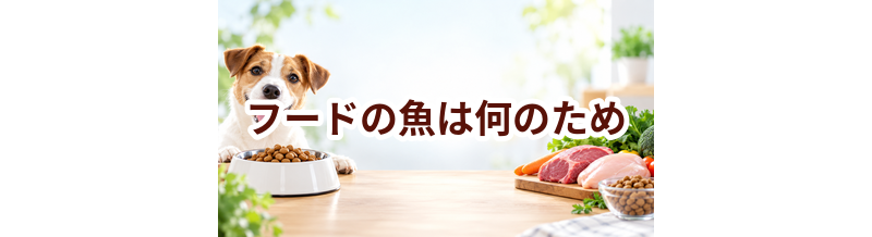 ドッグフードの魚は何のため？原材料表示を見るときのポイント