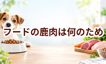 ドッグフードの鹿肉は何のため？原材料表示を見るときのポイント