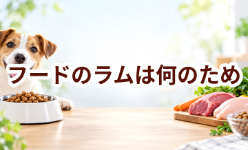 ドッグフードのラムは何のため？原材料表示を見るときのポイント