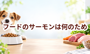 ドッグフードのサーモンは何のため？原材料表示を見るときのポイント