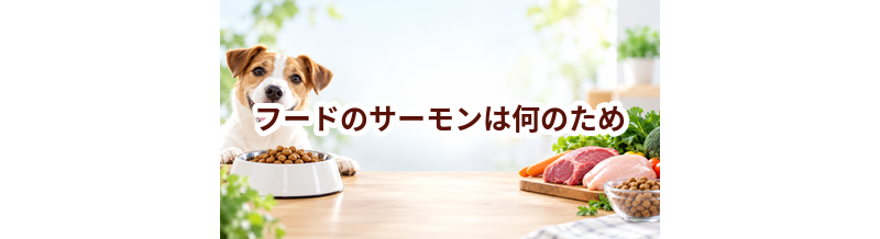 ドッグフードのサーモンは何のため？原材料表示を見るときのポイント