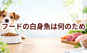 ドッグフードの白身魚は何のため？原材料表示を見るときのポイント
