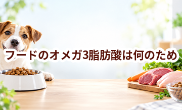 ドッグフードのオメガ3脂肪酸は何のため？原材料表示を見るときのポイント