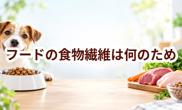ドッグフードの食物繊維は何のため？原材料表示を見るときのポイント