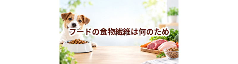 ドッグフードの食物繊維は何のため？原材料表示を見るときのポイント