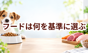 ドッグフードは何を基準に選ぶ？原材料・栄養・価格の見方