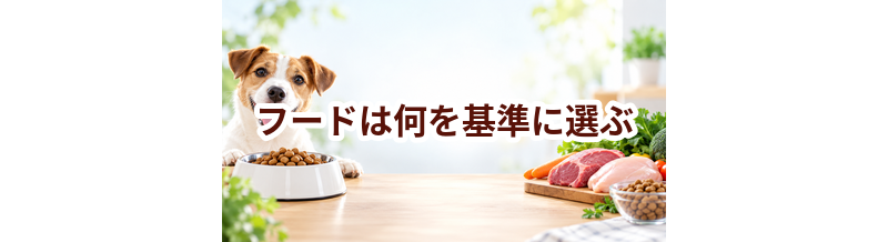 ドッグフードは何を基準に選ぶ？原材料・栄養・価格の見方