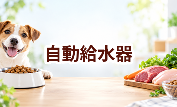 自動給水器はいくら？価格帯と長く使うための選び方