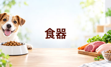 食器はいくら？価格帯と長く使うための選び方