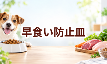 早食い防止皿はいくら？価格帯と長く使うための選び方