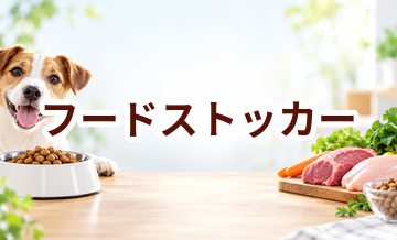 フードストッカーはいくら？価格帯と長く使うための選び方