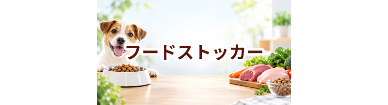 フードストッカーはいくら？価格帯と長く使うための選び方
