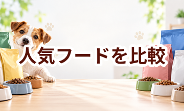人気ドッグフードを比較｜価格・原材料・定期条件を同じ基準でチェック