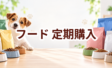 ドッグフードの定期購入はお得？価格・解約条件・買い忘れ防止で比較