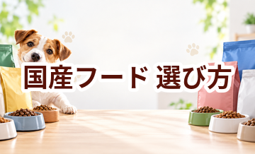 国産ドッグフードの選び方｜原材料・製造・価格をチェック