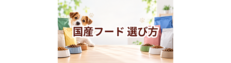 国産ドッグフードの選び方｜原材料・製造・価格をチェック