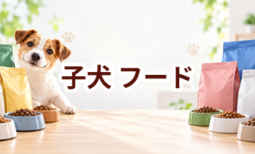 子犬のドッグフードはどう選ぶ？価格・食べやすさ・続けやすさで比較