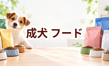 成犬のドッグフードはどう選ぶ？価格・食べやすさ・続けやすさで比較
