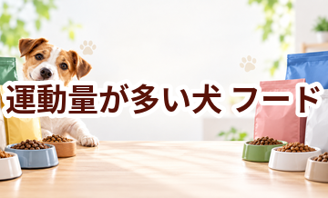 運動量が多い犬のドッグフードはどう選ぶ？価格・食べやすさ・続けやすさで比較