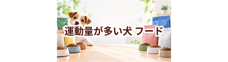 運動量が多い犬のドッグフードはどう選ぶ？価格・食べやすさ・続けやすさで比較