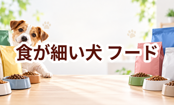 食が細い犬のドッグフードはどう選ぶ？価格・食べやすさ・続けやすさで比較