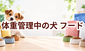 体重管理中の犬のドッグフードはどう選ぶ？価格・食べやすさ・続けやすさで比較