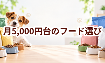 月5,000円台で続けやすいドッグフードの選び方｜1日あたりの費用も比較