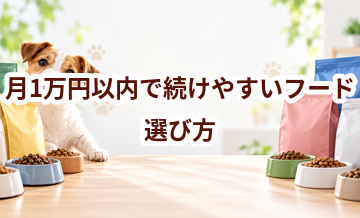 月1万円以内で続けやすいドッグフードの選び方｜1日あたりの費用も比較