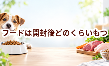 ドッグフードは開封後どのくらいもつ？保存方法と買う量の決め方
