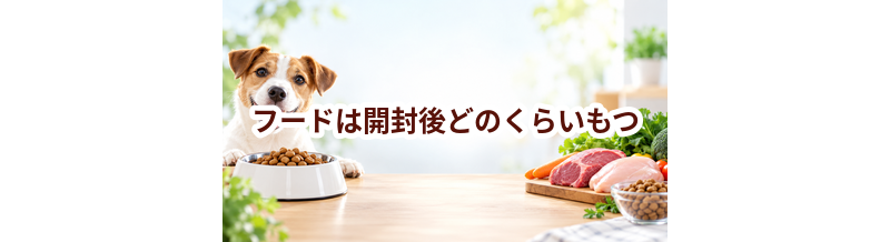 ドッグフードは開封後どのくらいもつ？保存方法と買う量の決め方