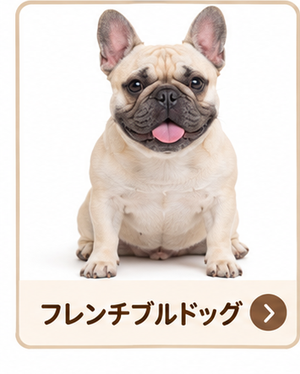 フレンチブルドッグ