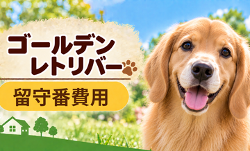 ゴールデンレトリバーの留守番対策にいくらかかる？カメラ・給餌器・シッターを比較