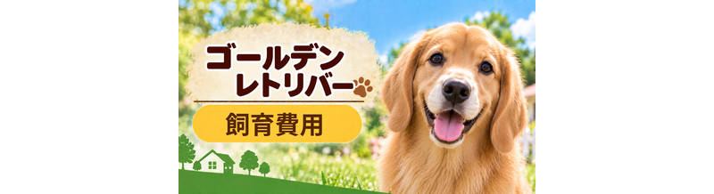 ゴールデンレトリバーを飼う費用はいくら？初期費用・年間費用・生涯費用を解説