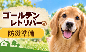 ゴールデンレトリバーの防災準備｜避難時に必要な用品と持ち出しリスト