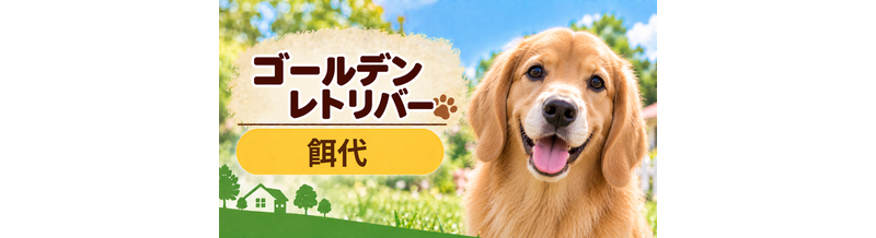 ゴールデンレトリバーの餌代は月いくら？体重からドッグフード代をシミュレーション