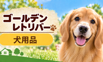 ゴールデンレトリバー向け犬用品の選び方｜ケージ・ベッド・ハーネスをまとめて確認