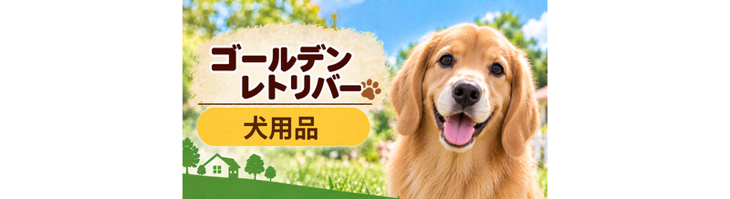 ゴールデンレトリバー向け犬用品の選び方｜ケージ・ベッド・ハーネスをまとめて確認
