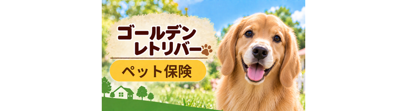 ゴールデンレトリバーのペット保険料はいくら？加入前に確認したい補償と費用
