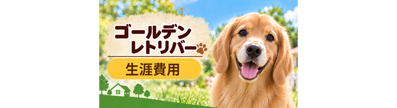 ゴールデンレトリバーの生涯費用はいくら？子犬からシニアまで長期で考える