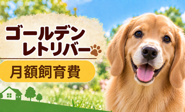 ゴールデンレトリバーの飼育費は月いくら？食費・日用品・保険料を家計シミュレーション