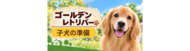 ゴールデンレトリバーの子犬を迎えた1週間でやること｜食事・トイレ・生活環境