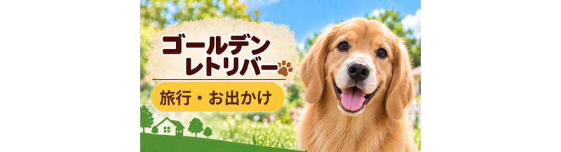ゴールデンレトリバーと旅行するときの持ち物｜移動・宿泊で役立つ犬用品