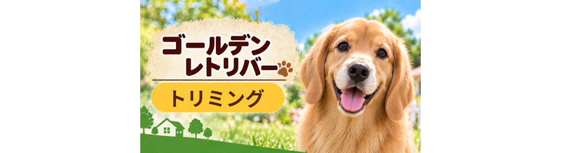 ゴールデンレトリバーのトリミング代はいくら？頻度と年間費用を計算