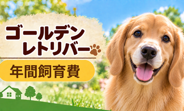 ゴールデンレトリバーの年間飼育費はいくら？固定費と臨時出費をまとめて計算